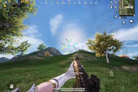 2025年和平精英辅助技术的发展趋势的配图，内容相关：如果不想冒险，可通过练枪软件或观看高手直播提升技术。官方偶尔会推出“训练营”活动，提供额外资源帮助玩...